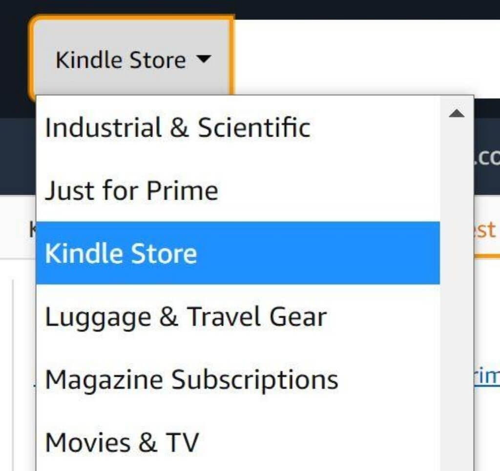 Amazon Kindle Store selected on the dropdown menu next to the search bar