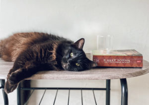 A black cat lying on a table next to a Harry Potter and the Goblin of Fire book