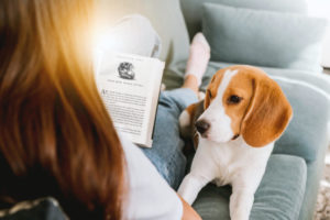 Dog sitting on a couch next to a girl reading Harry Potter