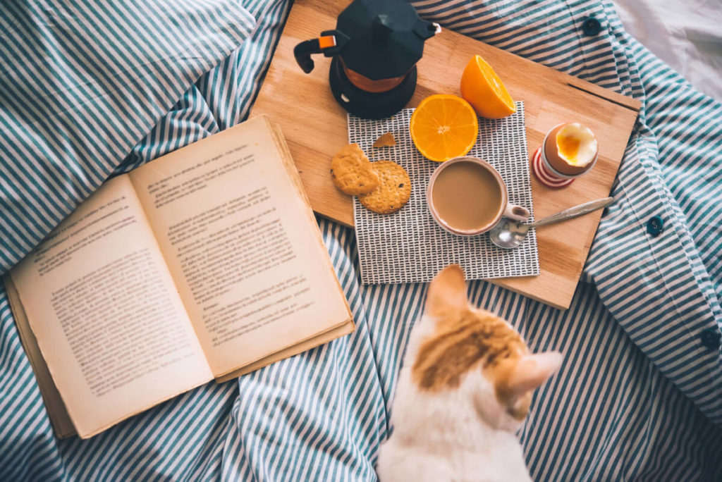 Orange and white cat with open book and tray with oranges and coffee on it