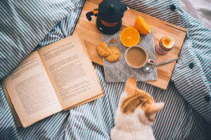 Orange and white cat with open book and tray with oranges and coffee on it